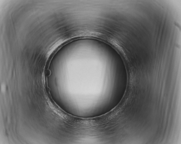 X0000100380936200806201647