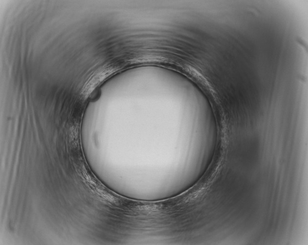 X0000100380937200806201647