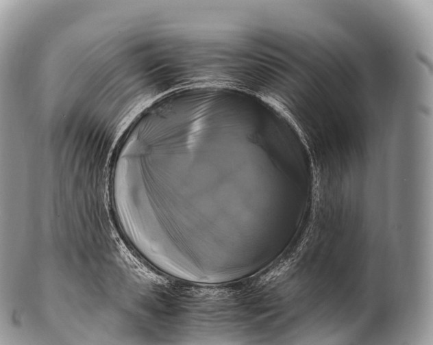 X0000100380941200806201647