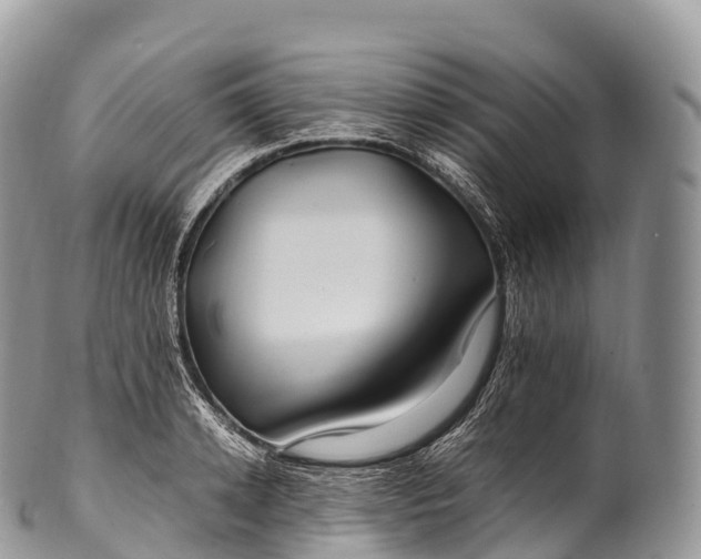X0000100380942200806201647