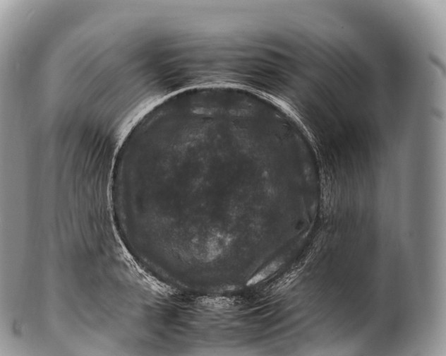 X0000100380943200806201647