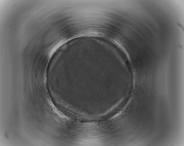 X0000100380944200806201647