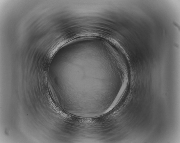 X0000100380945200806201647