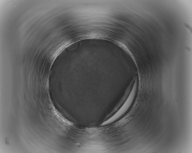 X0000100380946200806201647