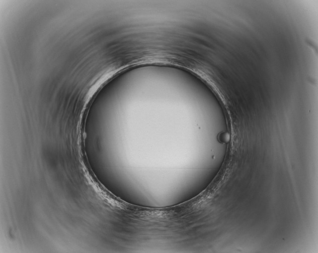 X0000100380949200806201647