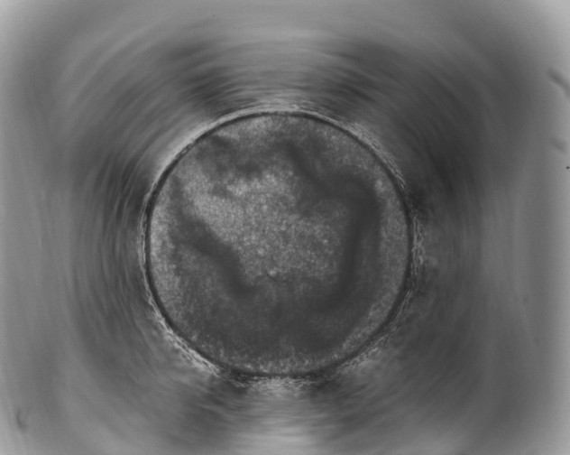 X0000100380950200806201647