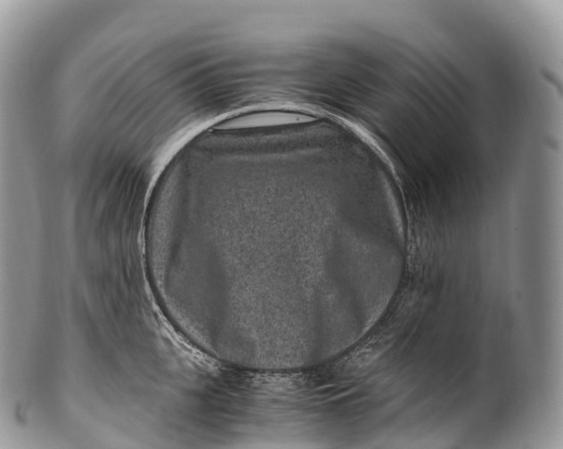 X0000100380951200806201647