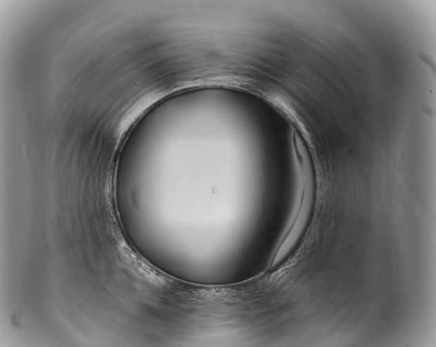 X0000100380952200806201647