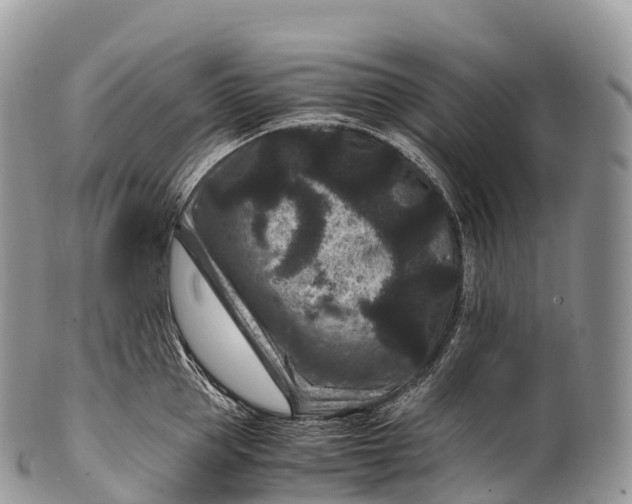 X0000100380953200806201647