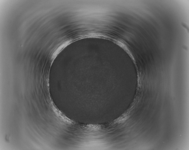 X0000100380954200806201647