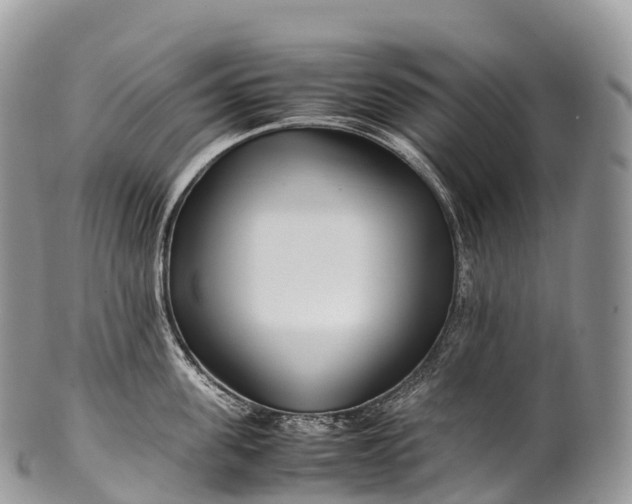 X0000100380955200806201647