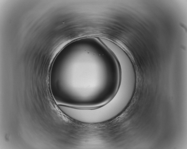 X0000100380956200806201647
