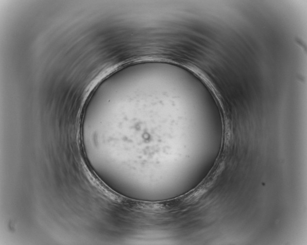 X0000100380957200806201647