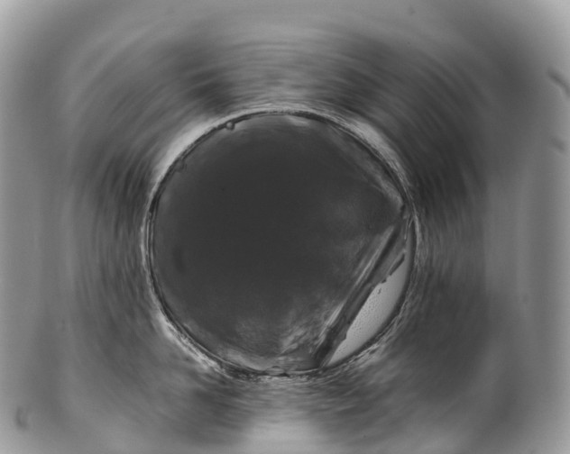 X0000100380958200806201647
