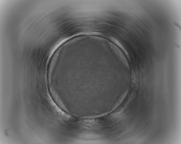 X0000100380959200806201647