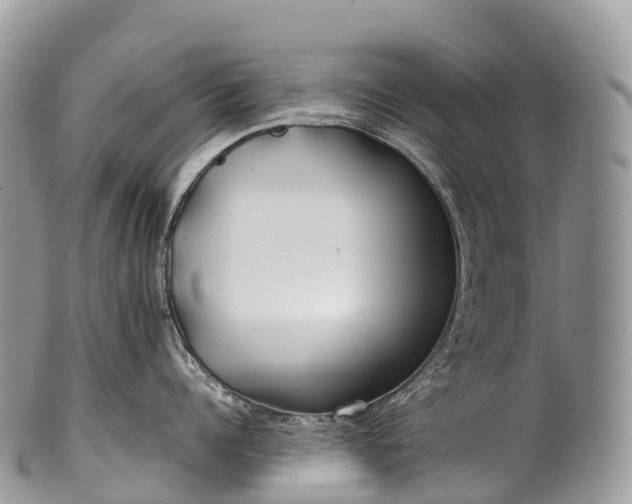 X0000100380960200806201647