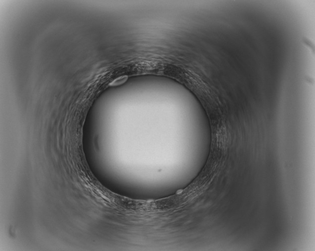 X0000100380961200806201646