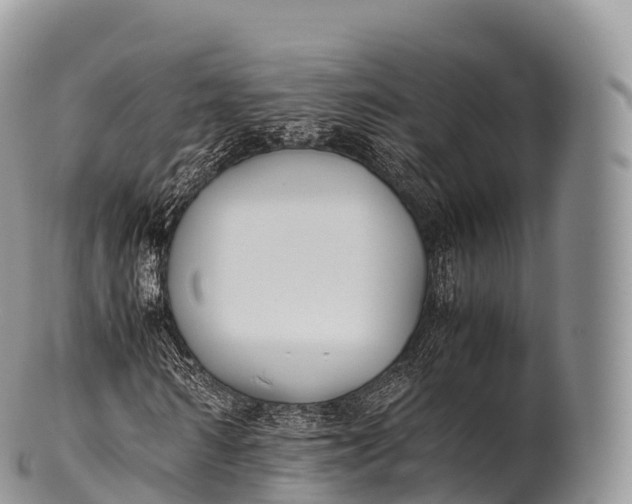 X0000100380962200806201646