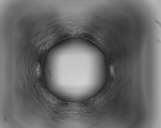 X0000100380963200806201646