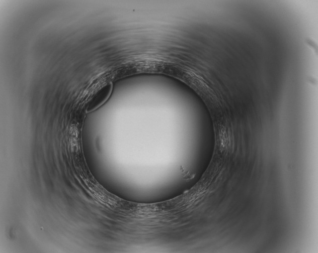 X0000100380964200806201646