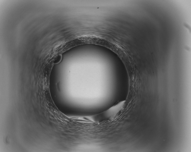 X0000100380965200806201646