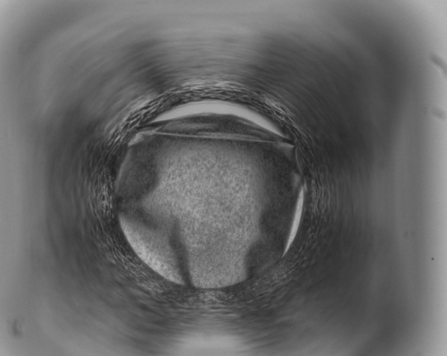 X0000100380966200806201646