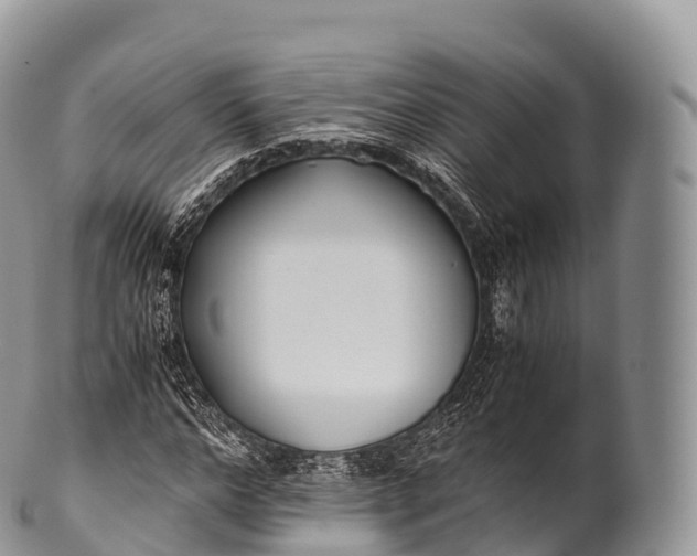 X0000100380968200806201646
