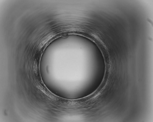 X0000100380969200806201646