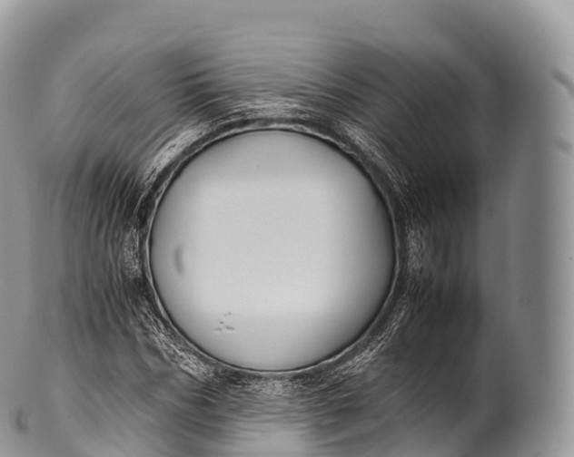 X0000100380970200806201646
