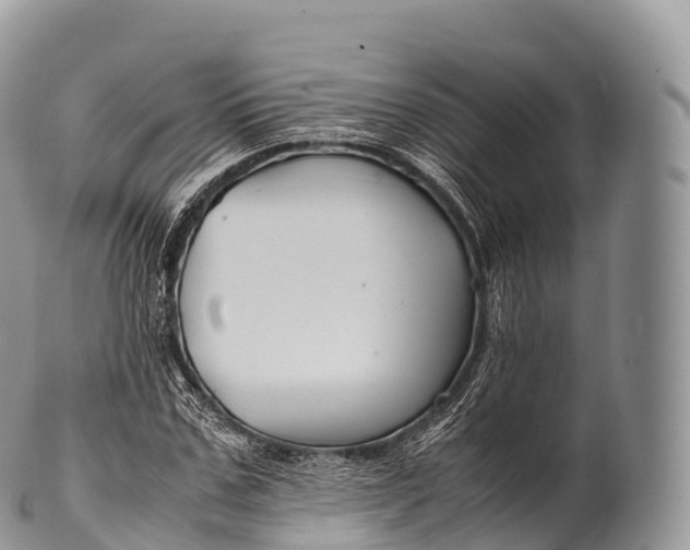 X0000100380971200806201646