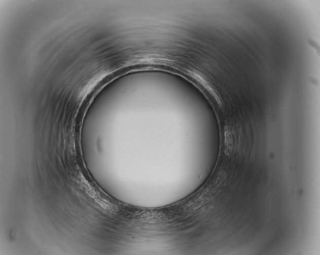 X0000100380972200806201646