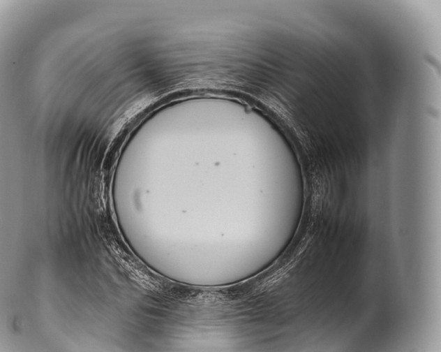 X0000100380974200806201646
