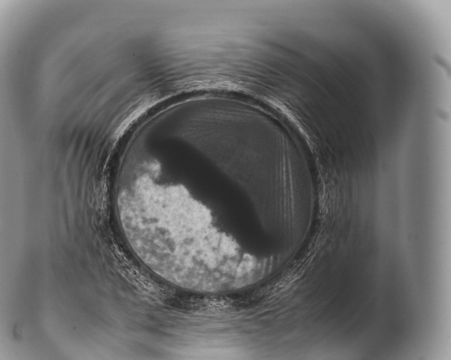 X0000100380975200806201646
