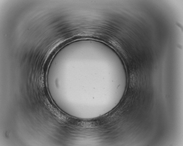 X0000100380976200806201646