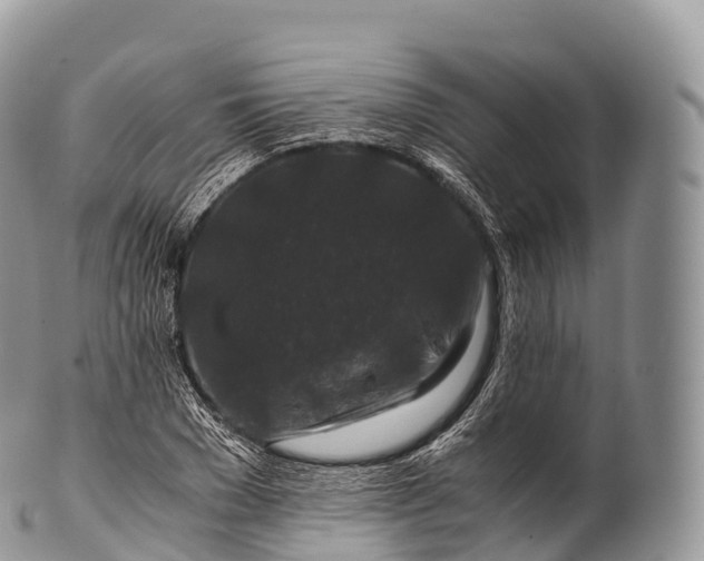 X0000100380977200806201646
