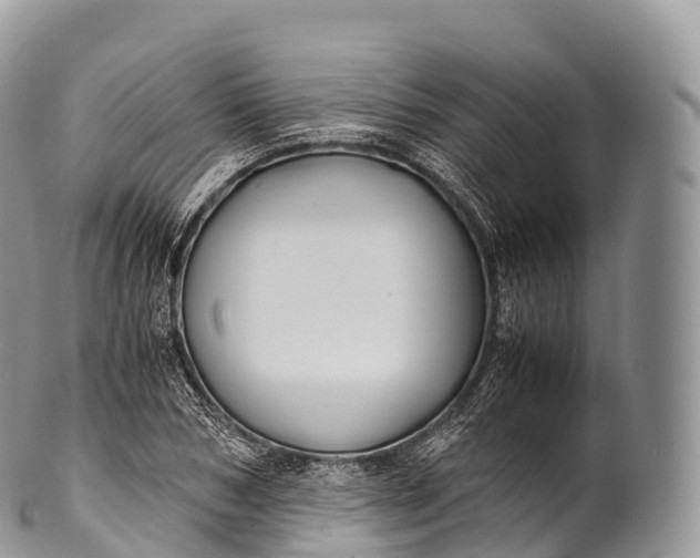 X0000100380978200806201646