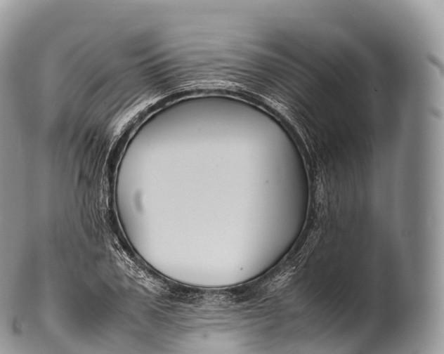 X0000100380979200806201646