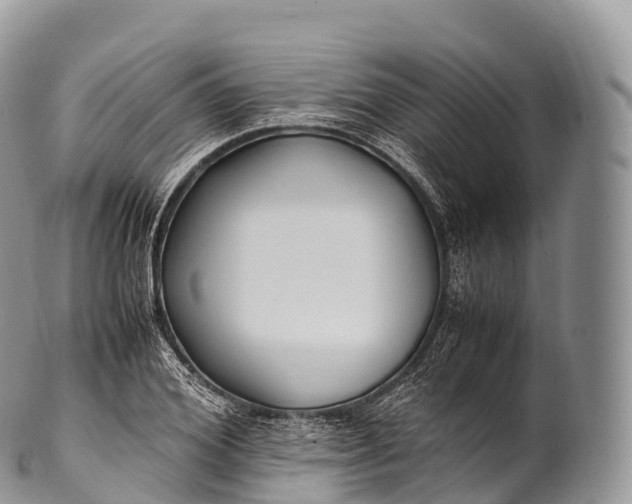 X0000100380980200806201646