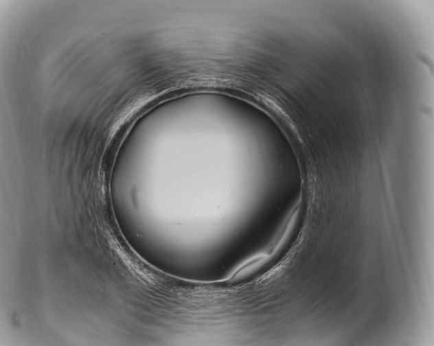 X0000100380981200806201646