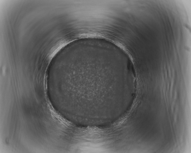 X0000100380983200806201646
