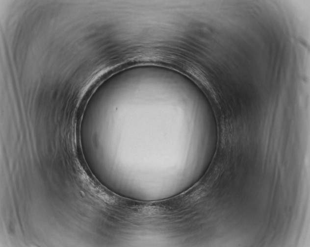 X0000100380984200806201646