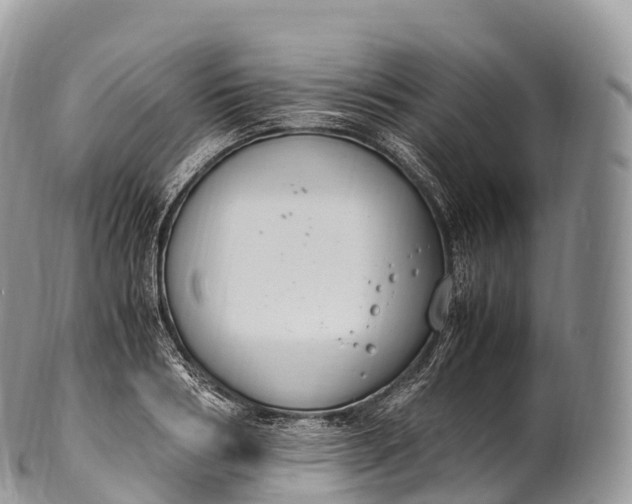 X0000100380986200806201646