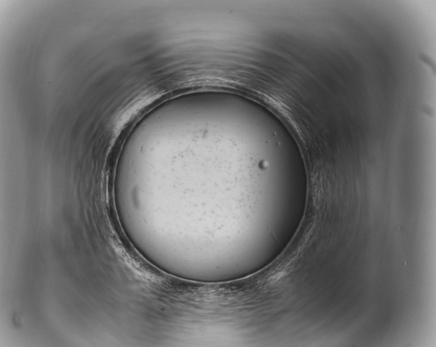 X0000100380987200806201646