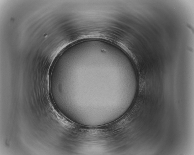 X0000100380988200806201646