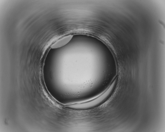 X0000100380989200806201646