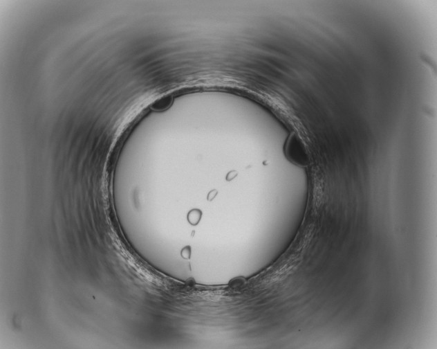 X0000100380990200806201646