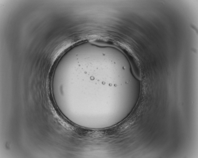 X0000100380991200806201646