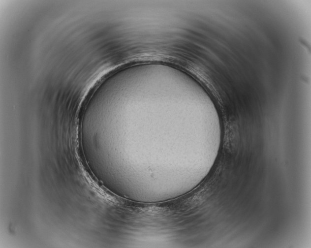 X0000100380992200806201646