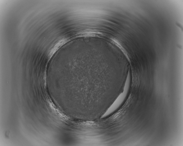 X0000100380994200806201646