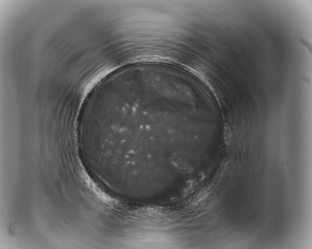 X0000100380995200806201646